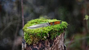 Knife on Stump